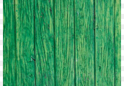plywood panels 8' X 4' painted green team809